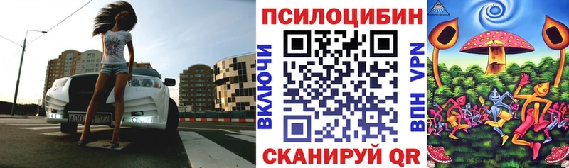 Галлюциногенные грибы Psilocybine cubensis  Тавда 