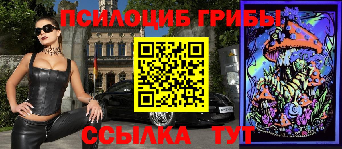Псилоцибиновые грибы ЛСД Тавда
