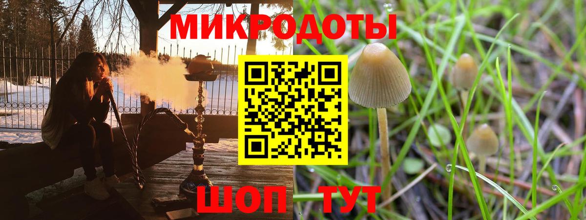 Псилоцибиновые грибы Magic Shrooms  Галлюциногенные грибы Psilocybe  Тавда  Вход с VPN 
